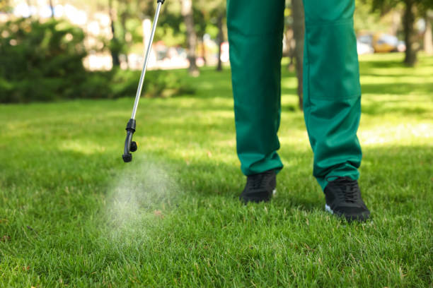Reliable Russells Point, OH Pest Control Solutions