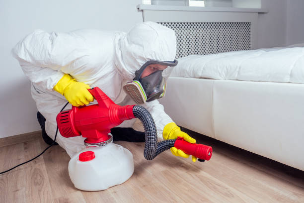 Best Emergency Pest Control  in Russells Point, OH