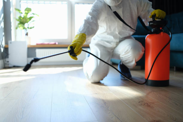 Best Pest Prevention Services  in Russells Point, OH