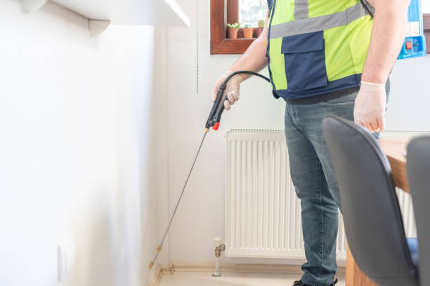 Best Ant Control Services  in Russells Point, OH
