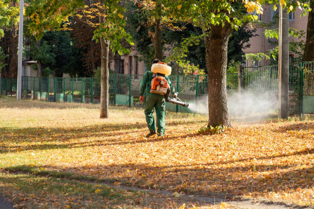 Best Commercial Pest Control Services  in Russells Point, OH